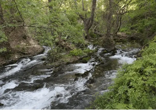 Ermenek Zeyve Pazarı deresi – berrak akan su ve yeşil kıyılar