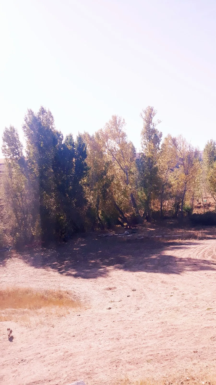 Basyayla Koyu Mosque