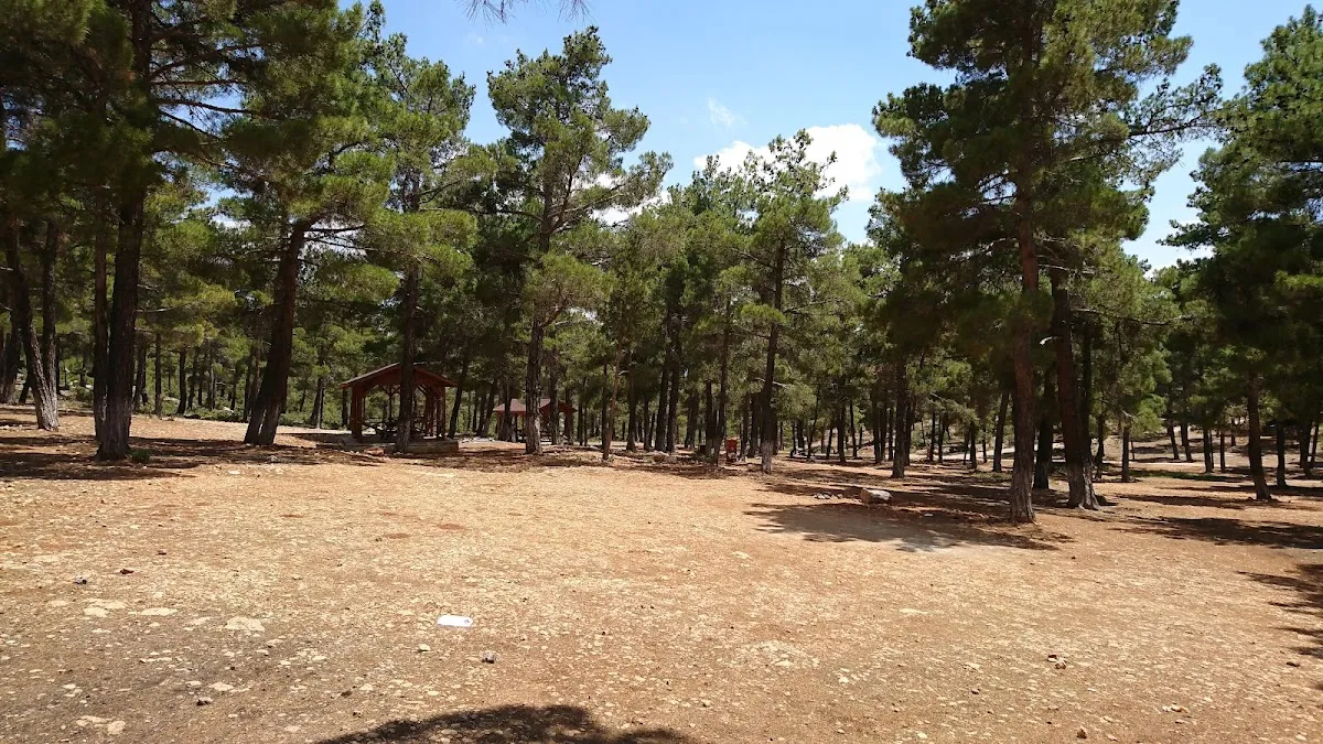 ermenek park ormanı