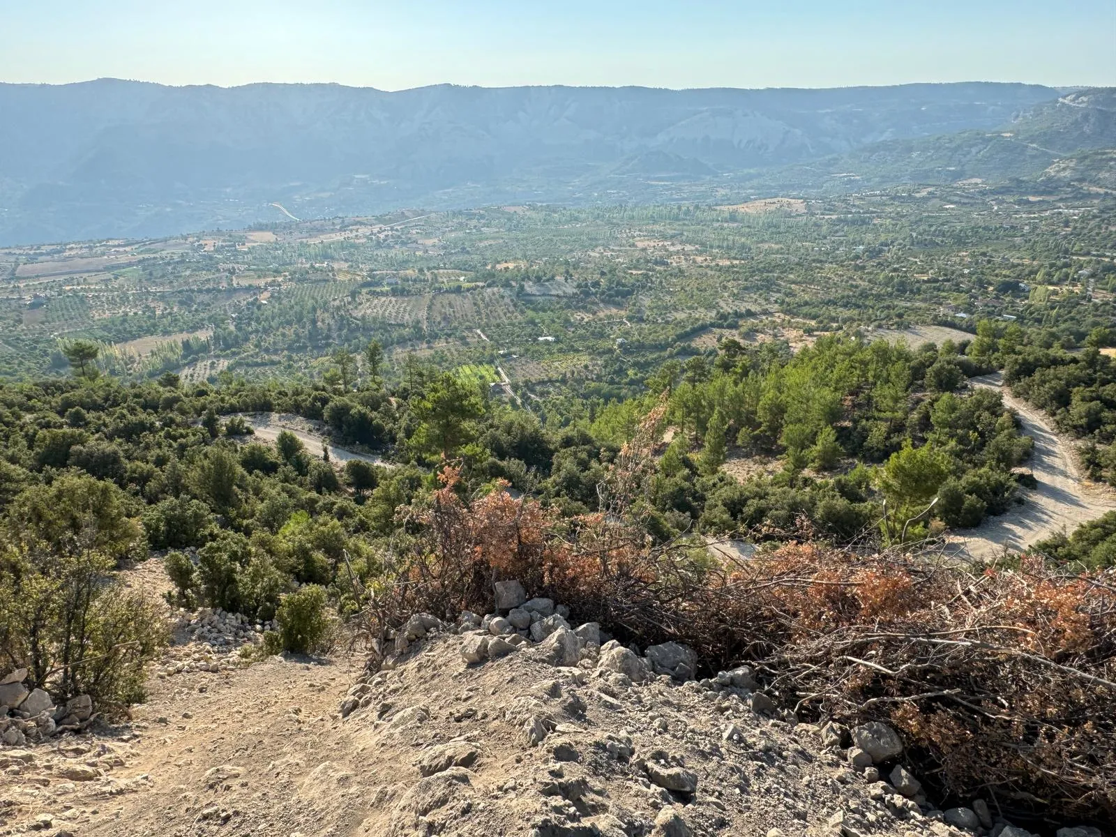 İrenepolis