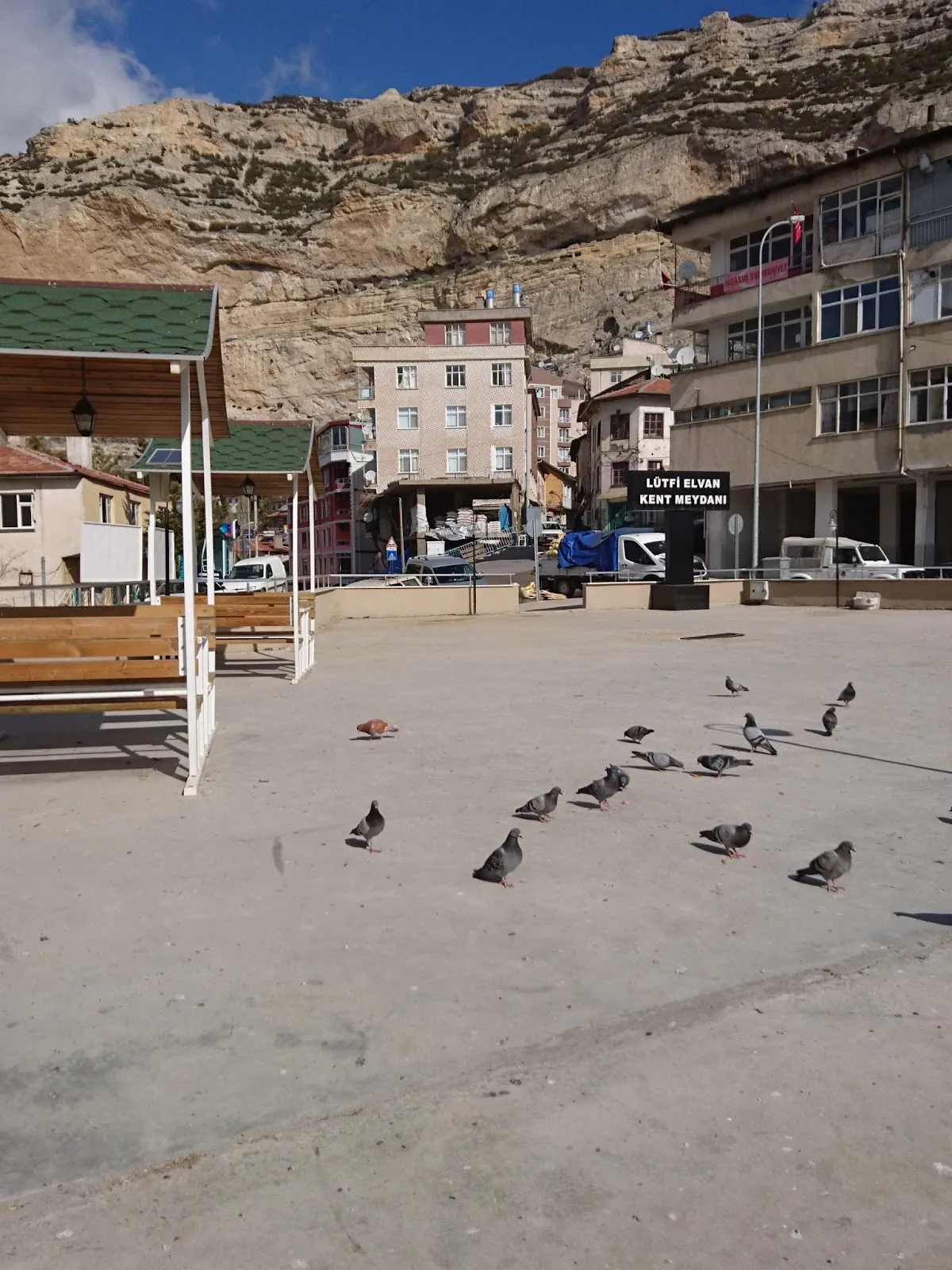 Market Area