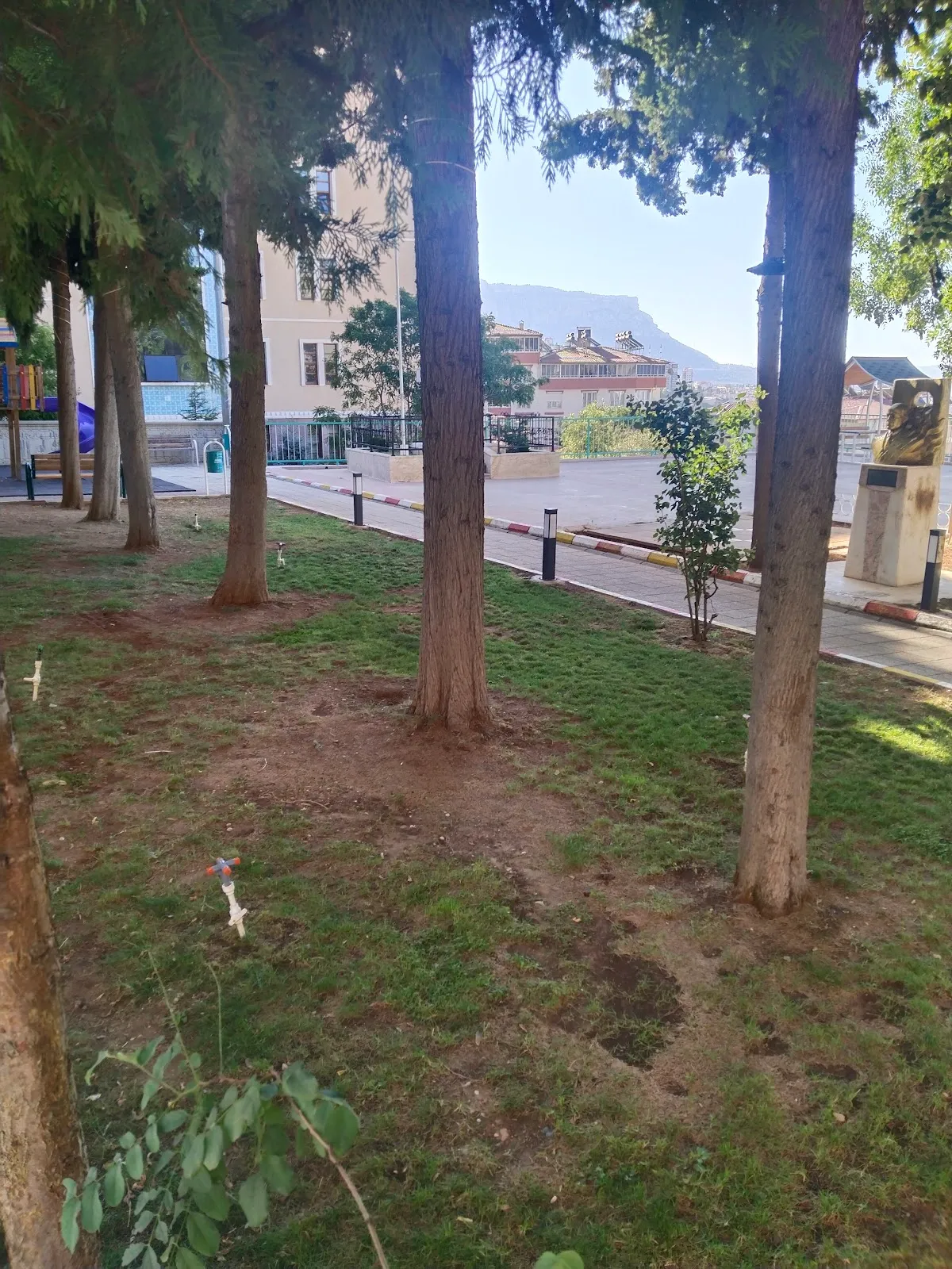 Maşlakçı Çay Bahçesi