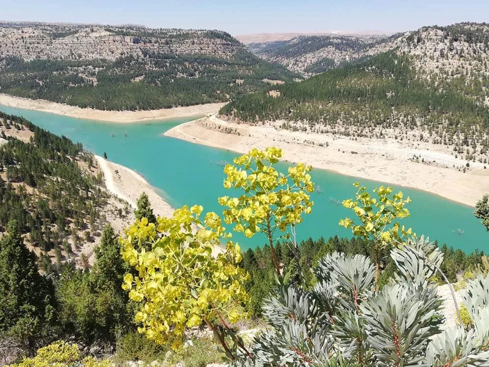 Tekeçatı Barajı