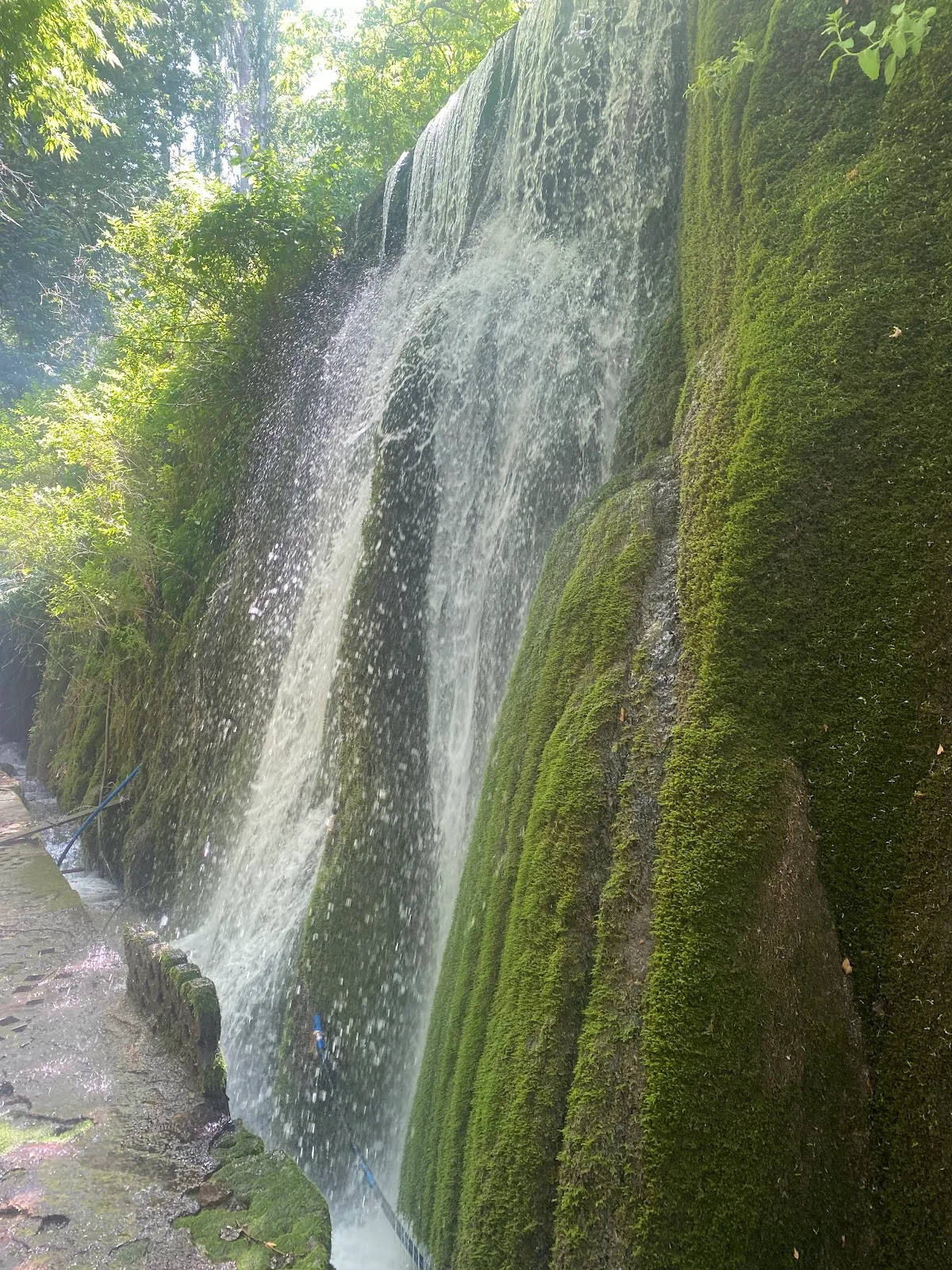 Zeyve Parkı
