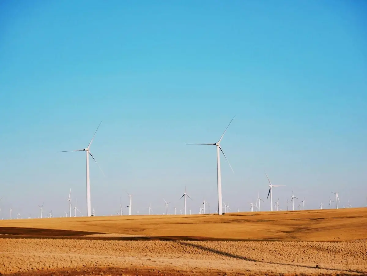 A vast wind farm in a sandy landscape under a clear blue sky, illustrating renewable energy.