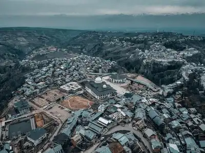 10 Yaşındaki Ağaçları Kestiler