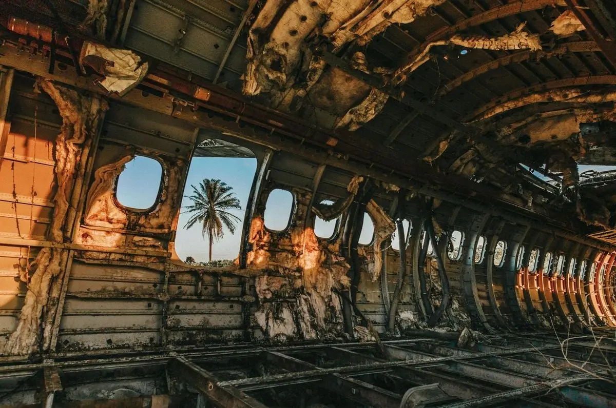 Interior of an abandoned airplane with a palm tree visible through windows, lit by golden sunset.