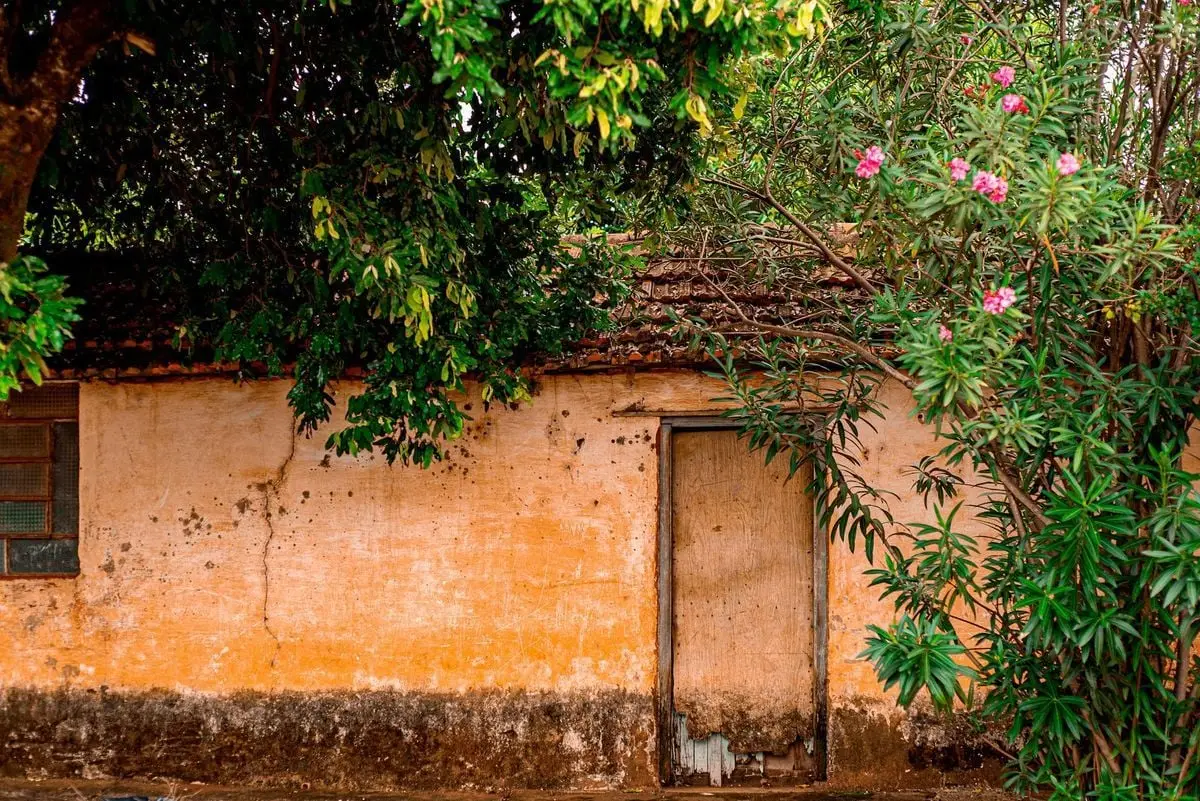 A rustic wall surrounded by lush greenery and vibrant flowers in Planura, Brazil.