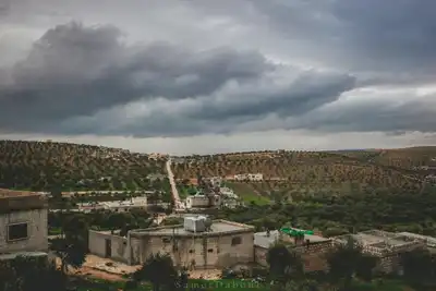 12 Yaşındaki Çocuk Balık Çaldığı İçin Tutuklandı