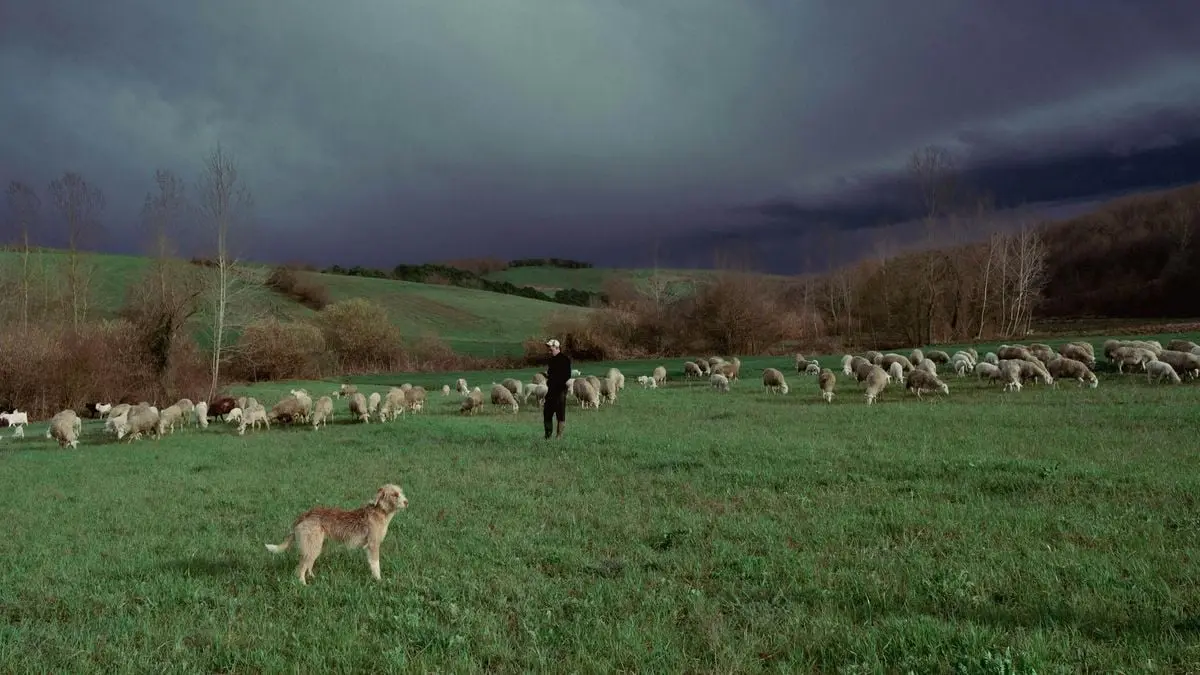 Scenic view of shepherd with flock and dog in lush Türkiye countryside under dramatic skies.
