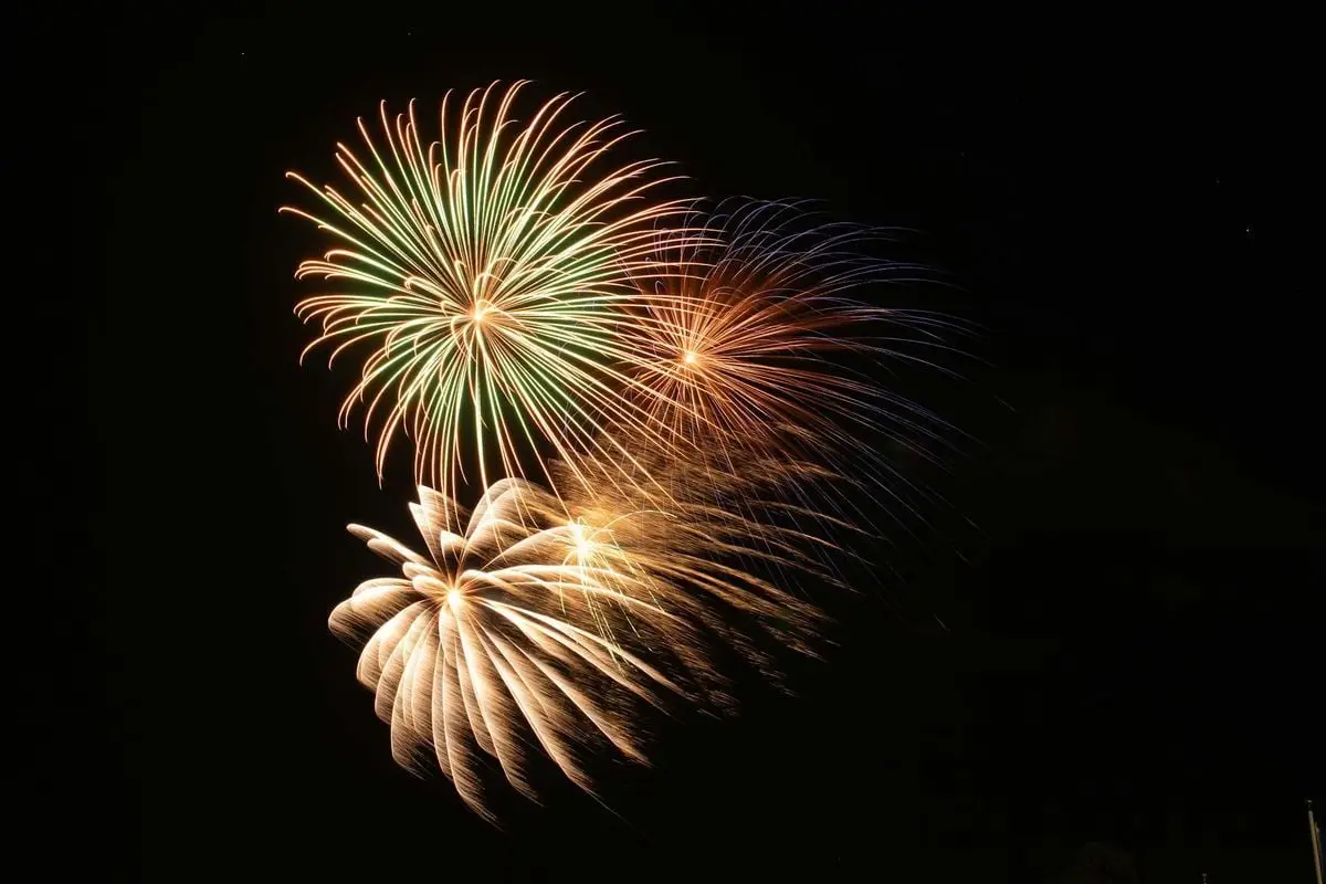 Colorful fireworks burst into the night sky, illuminating the darkness with vibrant colors.