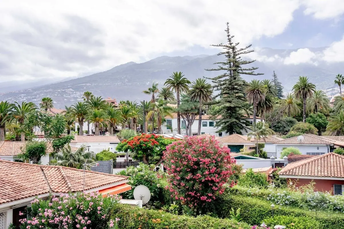 Picturesque Puerto de la Cruz scene featuring palm trees, rooftops, and lush gardens.