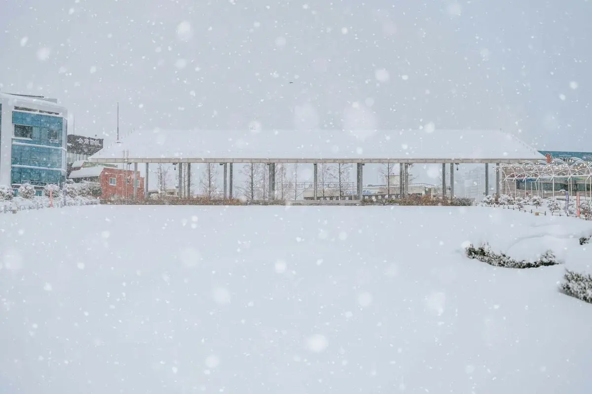 A serene urban scene with buildings and heavy snowfall creating a winter wonderland.