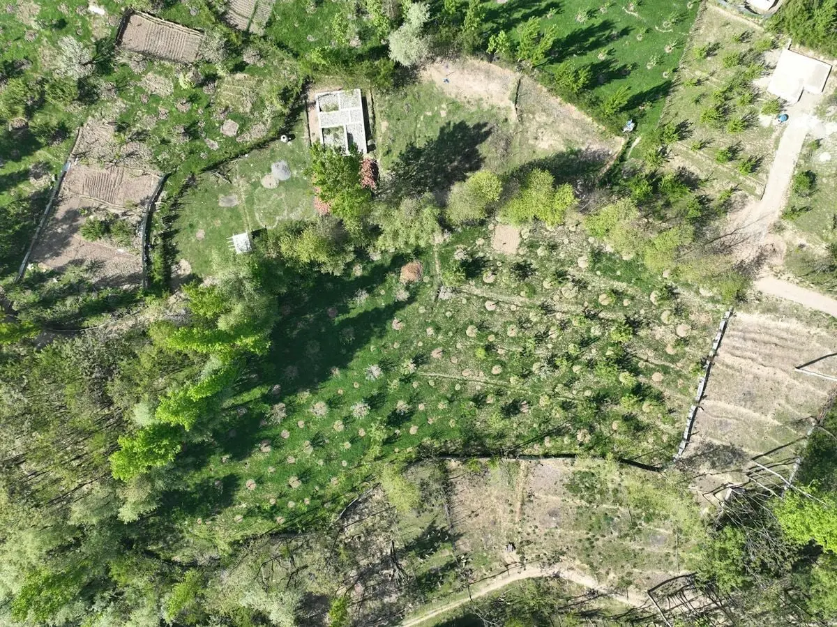 Drone captures vibrant aerial landscape of farmlands in Srinagar, showcasing natural beauty.