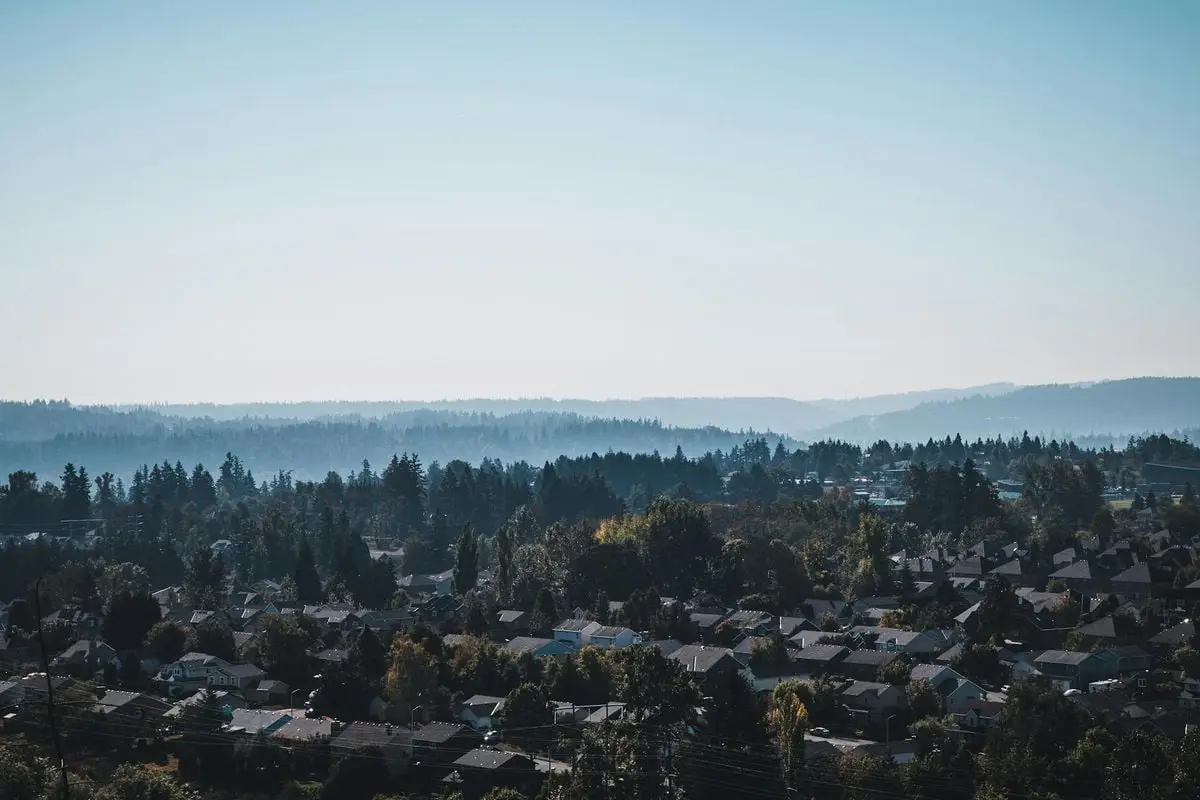 Captivating aerial view of Happy Valley suburbs against misty hills and forest backdrop.