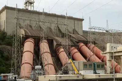Ağaç Budarken Elektrik Akımına Kapılıp Hayatını Kaybetti
