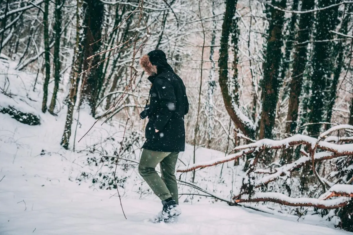 A person dressed warmly walks through a serene, snow-covered forest during winter, surrounded by tall trees.