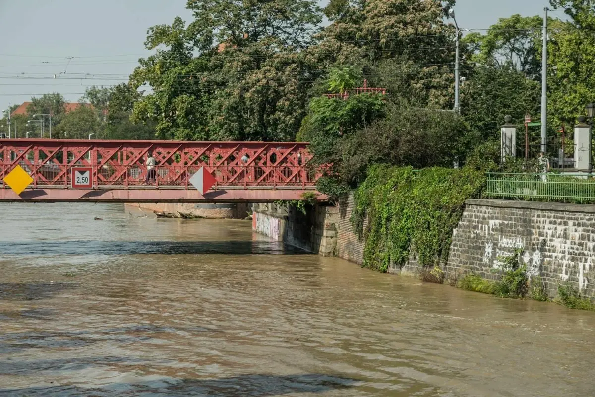 Red iron bridge over the Odra River in Wrocław, surrounded by lush greenery and urban landscape.