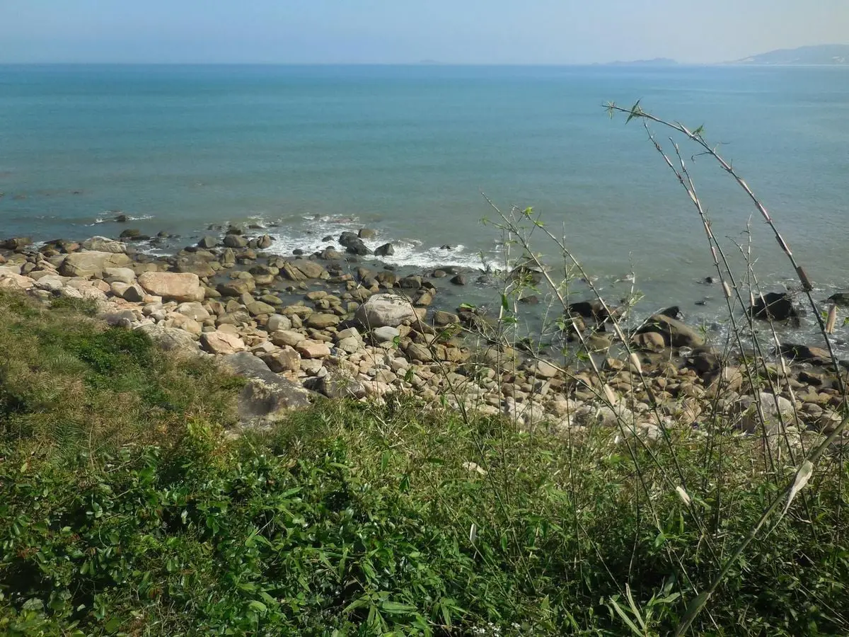 Explore the serene rocky coastline of Bình Định, Vietnam, with lush greenery and tranquil sea.