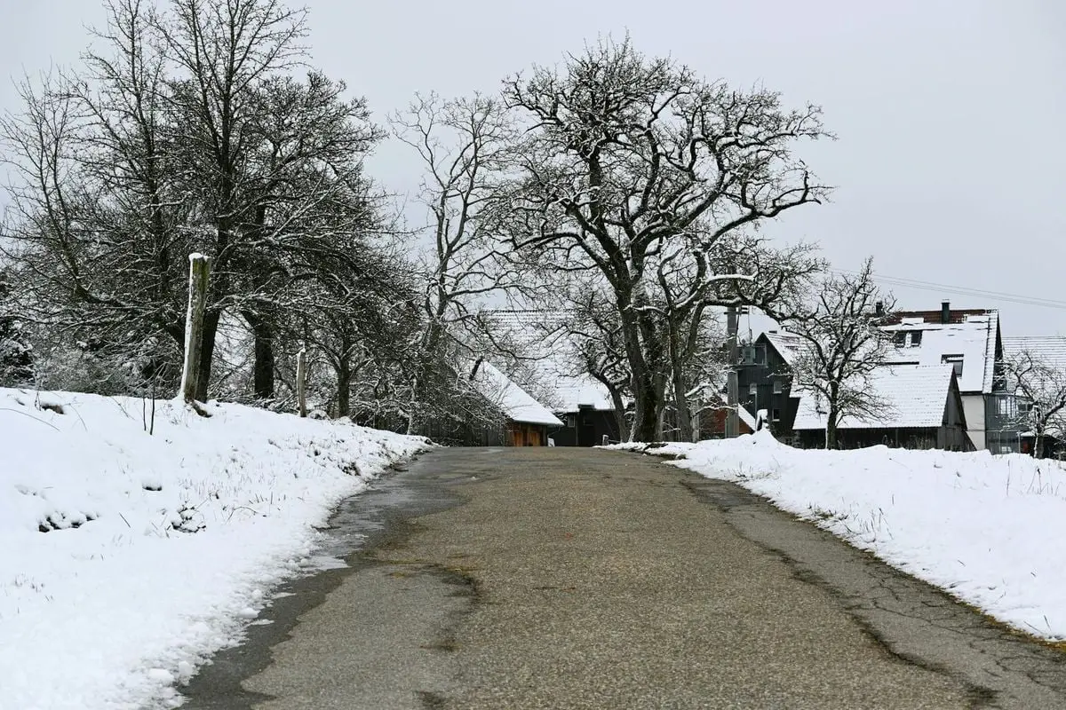 A tranquil snow-covered road in Auenwald, Baden-Württemberg, Germany, during winter.