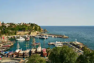 Anket Sonuçlarına Müdahale
