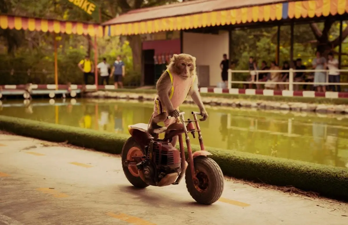 A monkey riding a mini bike at an outdoor amusement park, entertaining an audience.