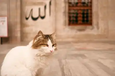 Arkadaşlarını bıçaklayarak öldürdüler