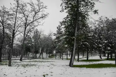 Aşağıçağlar ve Yukarıçağlar karantina altına alındı