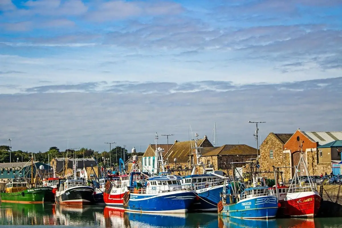 Vibrant fishing boats docked at Howth Harbor, Dublin, on a sunny day.