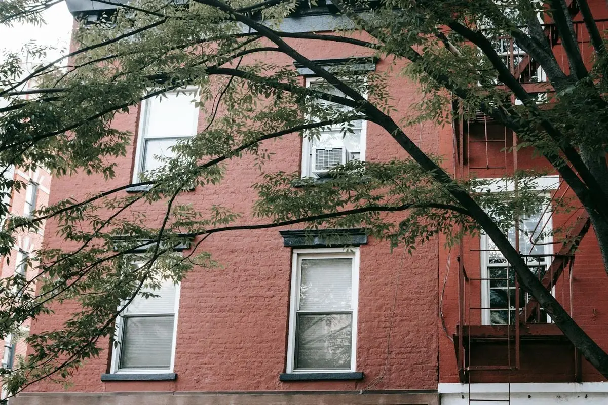 Facade of brick building with small windows near tree in town in daytime