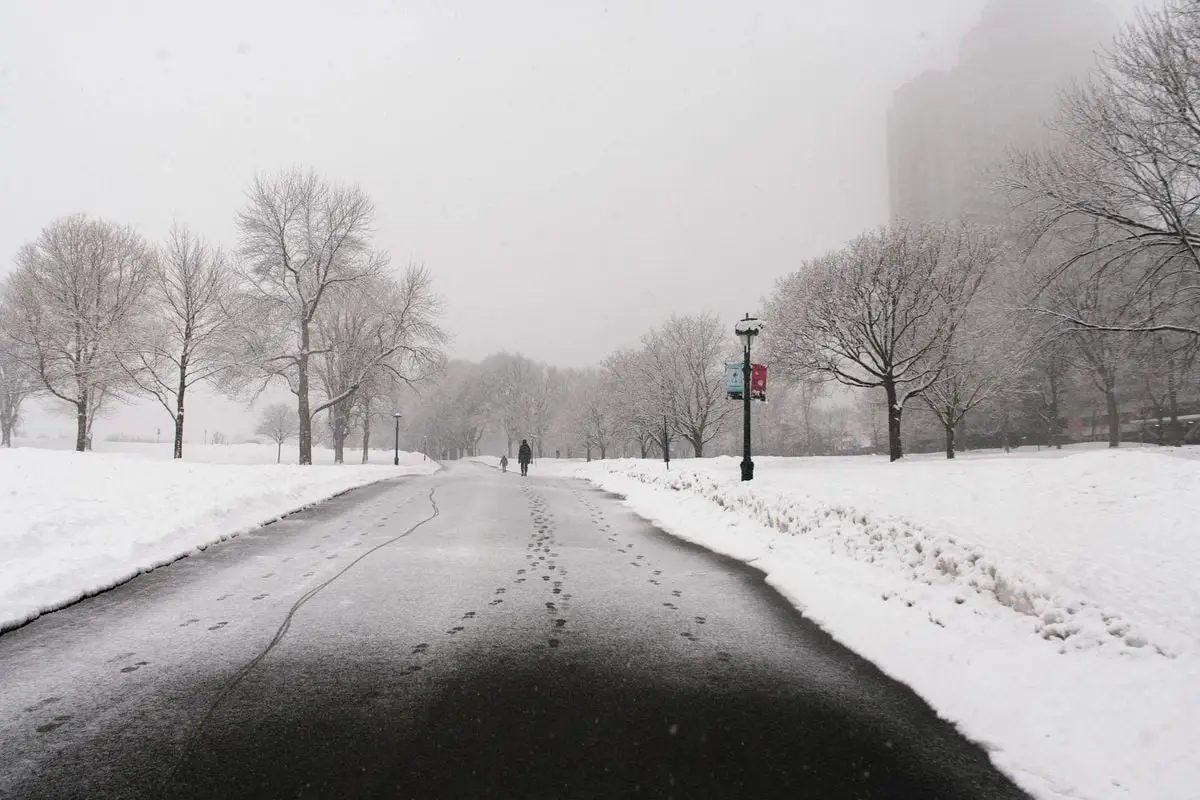 A serene winter scene in Québec City with a snow-covered pathway and bare trees.