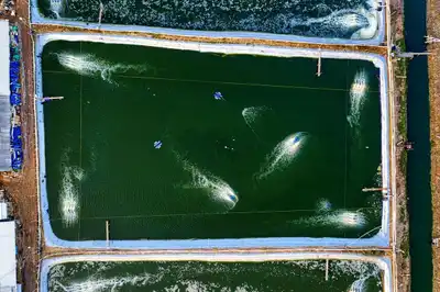 Babacan: ''Erdoğan’ın ‘haftanın düşmanı’ panosu var.''