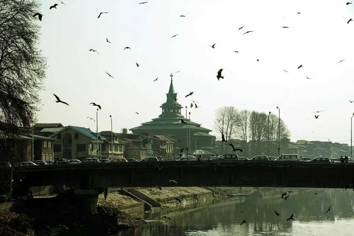 Urban bridge with river and birds in a serene town during daytime.