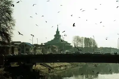 Bağ yolları ıslah çalışmaları devam ediyor