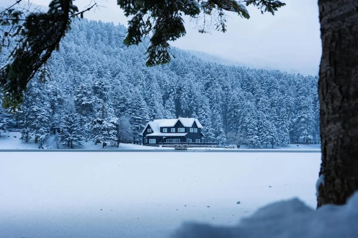 Stunning winter scene at a snowy lake house amidst frosted pine trees in Bolu, Türkiye.
