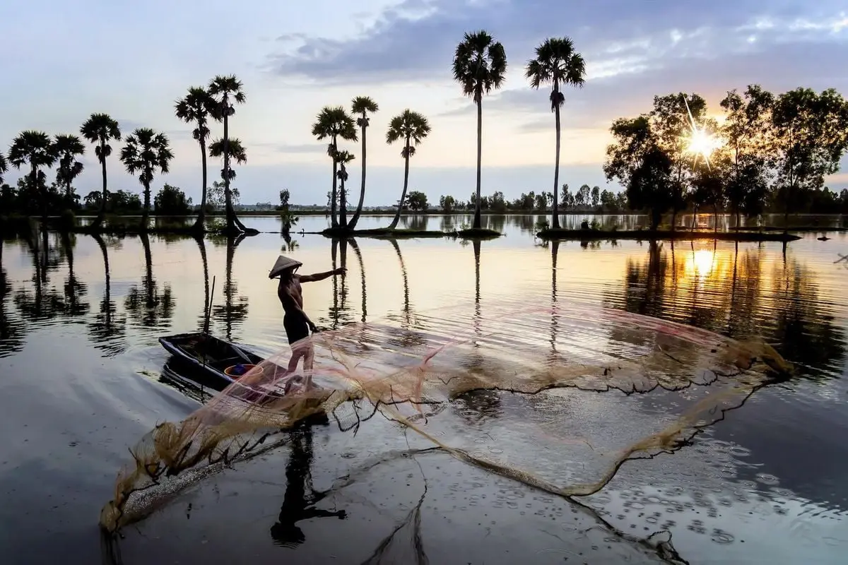 Fisherman casts net at sunrise surrounded by palm trees in rural An Giang, Vietnam.