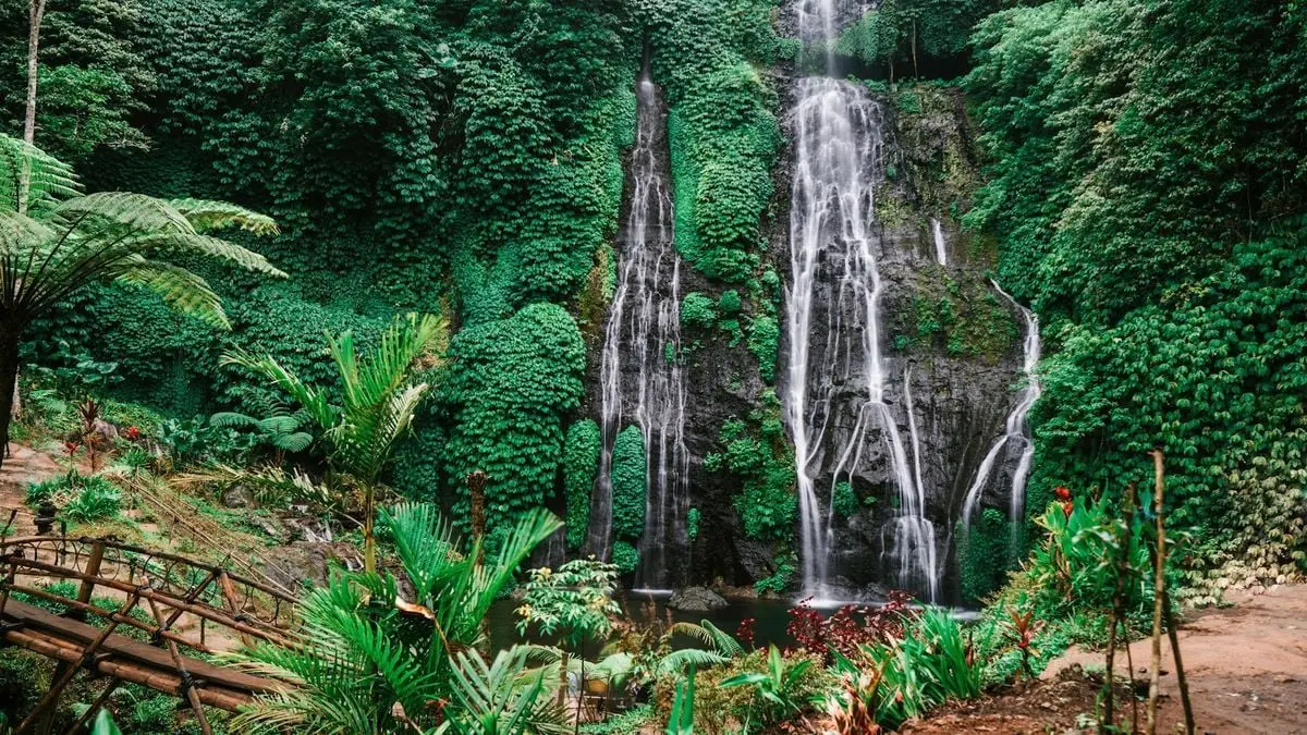 Explore the serene beauty of a tropical waterfall surrounded by lush greenery.