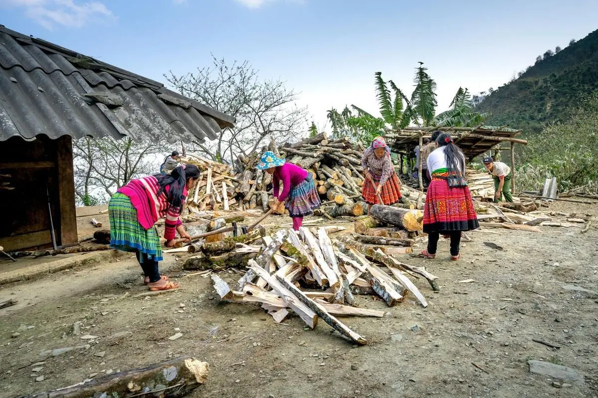 Group of local women with axes chopping logs while working in rural area near shabby house in countryside against grassy hill