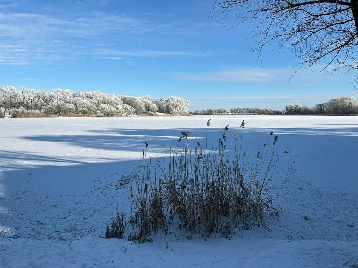 Serene winter scene of a frozen lake and snow-covered trees in Sztum, Poland.