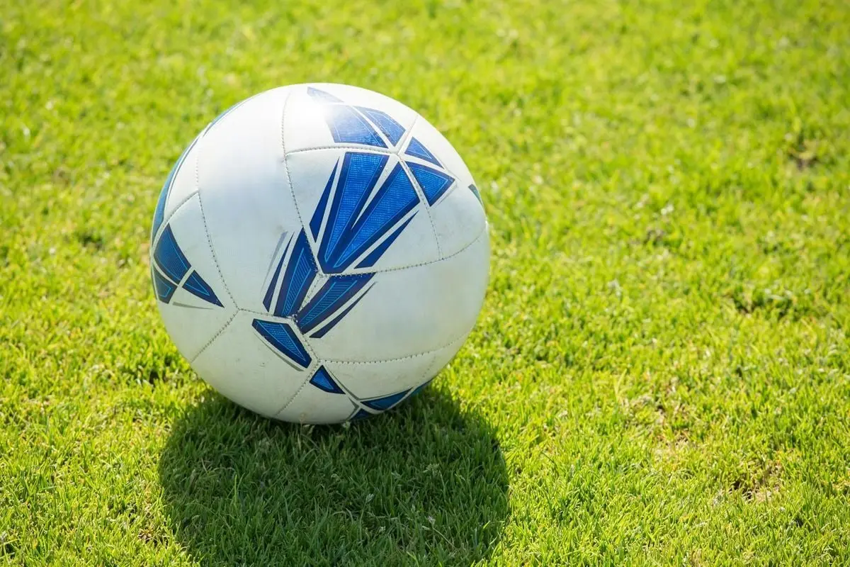 White soccer ball with blue patterns resting on a green grass field in bright daylight.