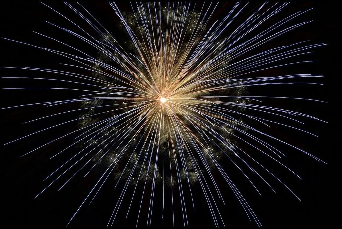 Stunning display of fireworks radiating across the night sky in a vibrant burst.