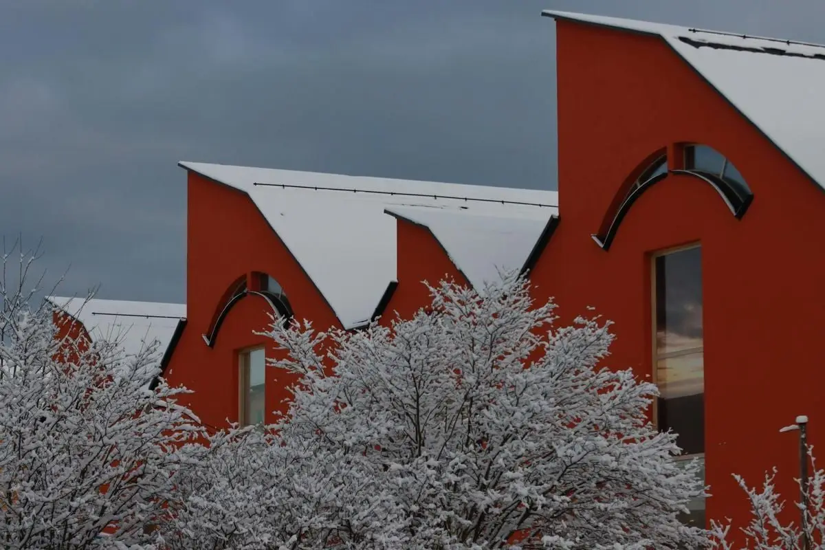 Contemporary architecture with snowy trees against a winter sky.
