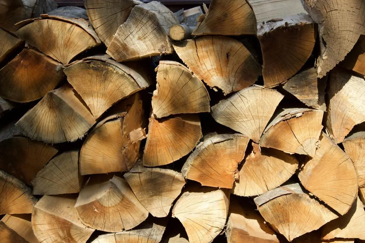 A close-up view of stacked firewood logs with a natural pattern in sunlight.