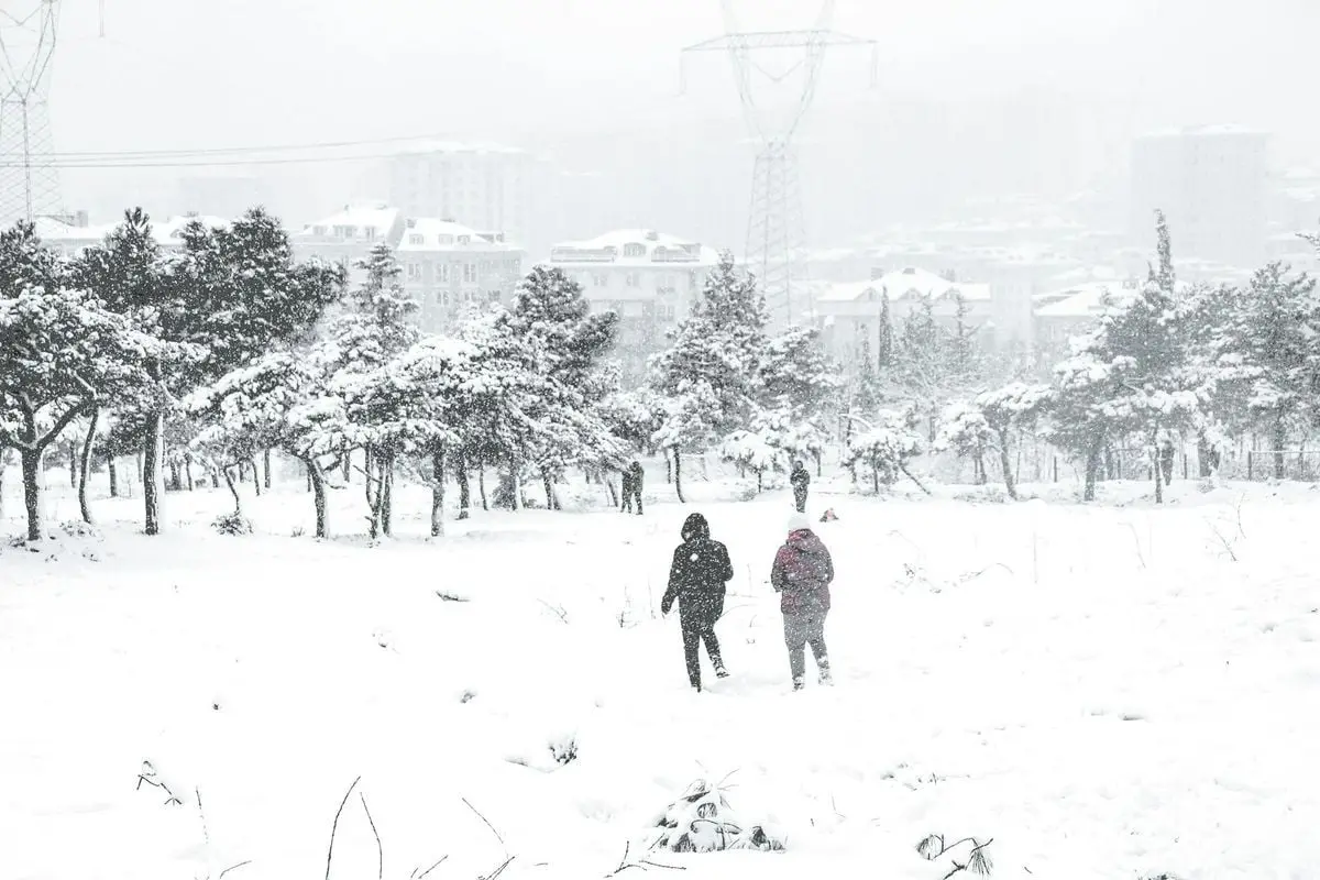 A snowy outdoor scene with people walking through a winter landscape amidst snow-covered trees.
