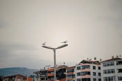 Borcunu Öde Haciz Kalksın