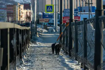 Bozdağ Kayak Merkezi 'Ermenek Kar Festivali'ne hazırlanıyor