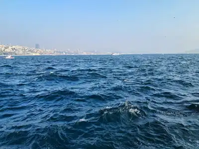 Bu evler 7 günde yapılıyor, 300 yıl dayanıyor