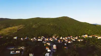 Bu fotoğraftaki ayrıntı herkesi şaşırttı