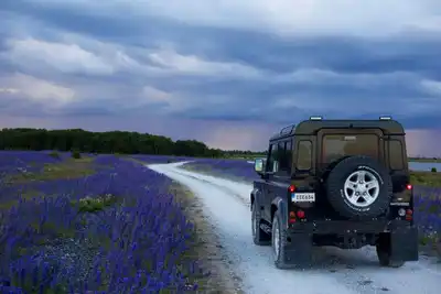 Bu Nasıl Bir Yol? Bakıp Çeken Yok!