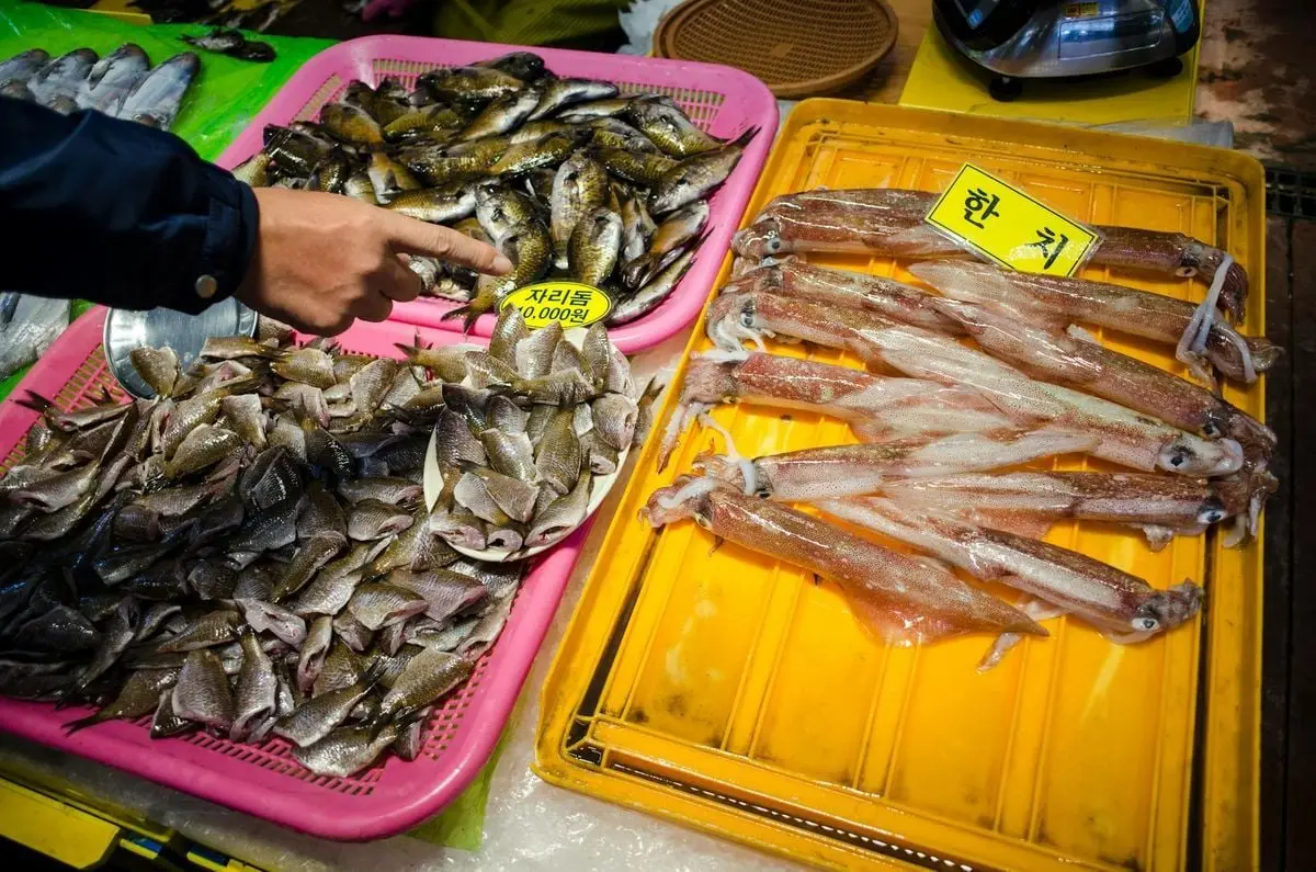 Close-up of fresh fish and squid on display at an Asian seafood market stall with hand pointing.